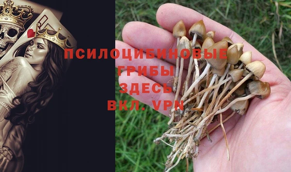 ГАЛЛЮЦИНОГЕННЫЕ ГРИБЫ Абинск
