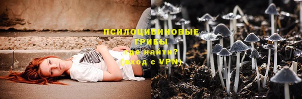 герыч Алексин